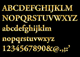 金serif信