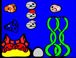 海