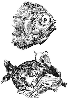 位圖 動(dòng)物 魚(yú) 色彩 免費(fèi)素材