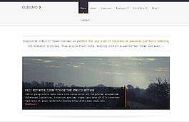 線條式html5網(wǎng)站模板