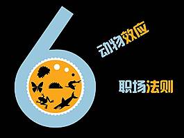 培训师常讲的6个效应