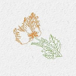 繡花 植物 花 色彩 黃色 免費素材