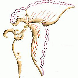 繡花 動(dòng)物 蝴蝶 色彩 黃色 免費(fèi)素材