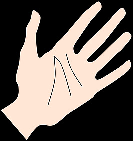 棕櫚Rones