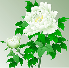印花矢量圖 優(yōu)雅植物 花 毛衫印花 優(yōu)雅植物 免費素材