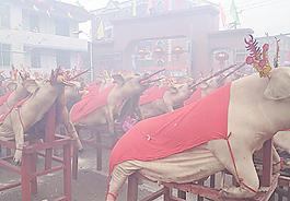民俗活動圖片