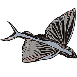 印花矢量圖 魚類 免費(fèi)素材