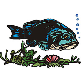 印花矢量圖 魚(yú)類 免費(fèi)素材