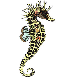 印花矢量圖 魚類 免費(fèi)素材