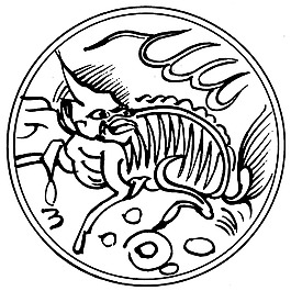 印花矢量圖 古典花紋 免費素材