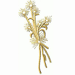 繡花 植物 草 色彩 淡黃色 免費(fèi)素材