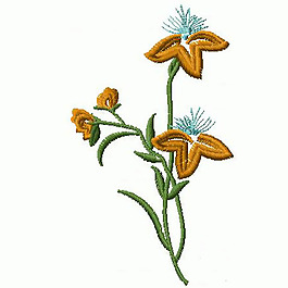 繡花 植物 花 色彩 綠色 免費素材