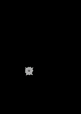 子彈孔琳達(dá)基姆交流