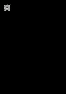 子彈孔琳達基姆R