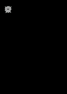 子彈孔琳達(dá)基姆五世