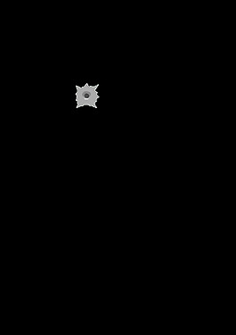 子彈孔琳達(dá)基姆Z