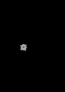 子彈孔琳達(dá)基姆公司