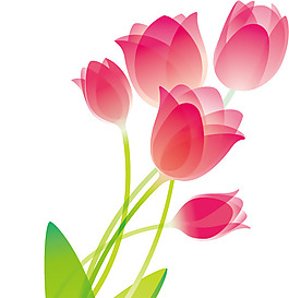 印花矢量圖 優(yōu)雅植物 花 色彩 綠色 免費素材