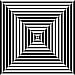 trapezebra