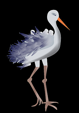 鳥(niǎo)的腿