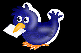 新的鳥(niǎo)