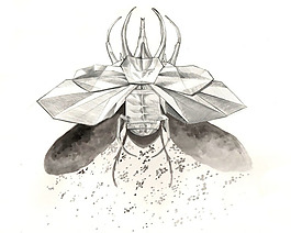 位圖 動(dòng)物 黑色 白色 灰色 免費(fèi)素材