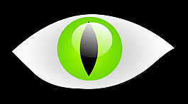 貓10