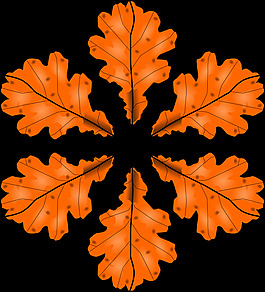fall2010-2