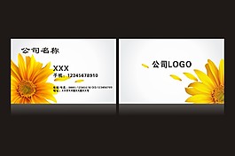 向日葵花卉名片