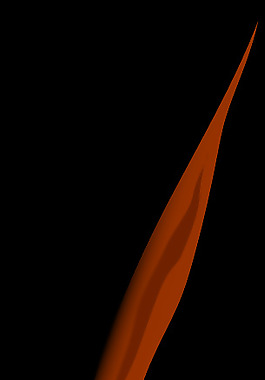 chinesepaintbrush