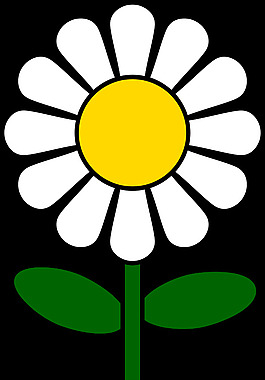 雛菊