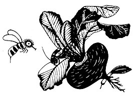 位圖 動物 蜜蜂 蘿卜 色彩 免費素材