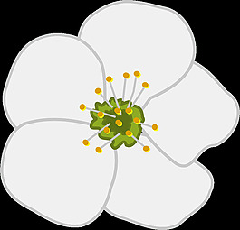 櫻花