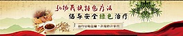 中醫中藥特色治療