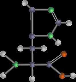 组氨酸（氨基酸）