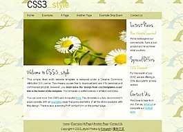 小清新英文博客css3