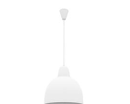 ceilings lamps 吊頂燈5