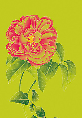 位圖 優(yōu)雅植物 牡丹 色彩 紅色 免費素材