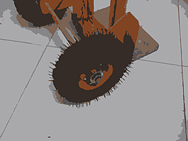 1238327712007