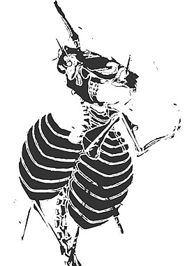 印花矢量圖 動物 抽象動物 色彩 花紋 免費素材