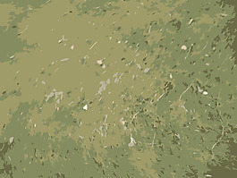 2009-11-26 16.19.36