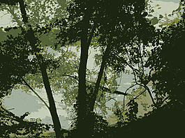 2009-09-06 15.44.18