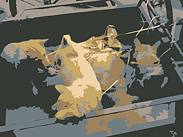 2009-11-08 08.34.20