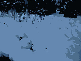 2009-11-01 17.02.04