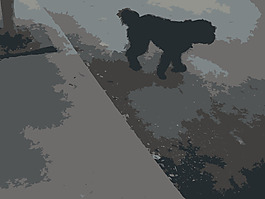 2009-09-06 15.08.19