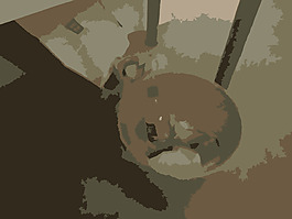 2009-07-27 15.25.38