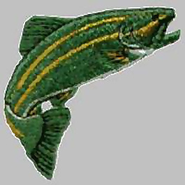 繡花 動(dòng)物 魚 色彩 綠色 免費(fèi)素材