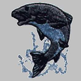 繡花 動物 魚 色彩 黑色 免費素材