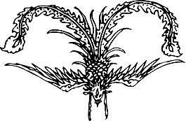 印花矢量圖 動(dòng)物 鳥(niǎo)類 鳳凰 吉祥 免費(fèi)素材