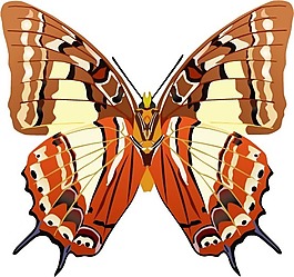 印花矢量圖 動(dòng)物 蝴蝶 色彩 五顏六色 免費(fèi)素材